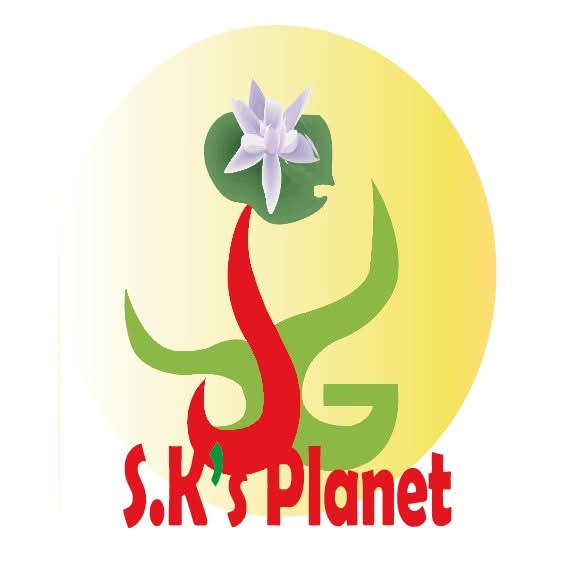 S.K's Planet logo