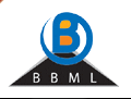 Banga Building Materials Ltd logo